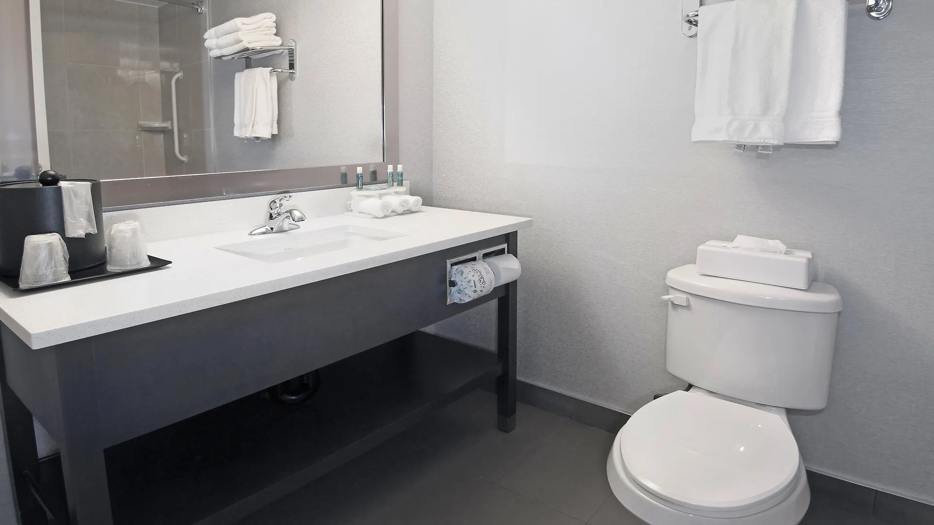 Holiday Inn Express And Suites Calgary By Ihg 3*,